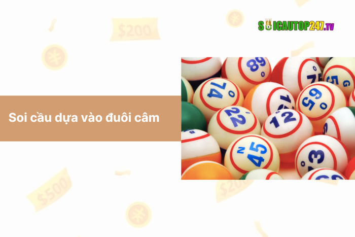 Soi cầu dựa vào câm đuôi