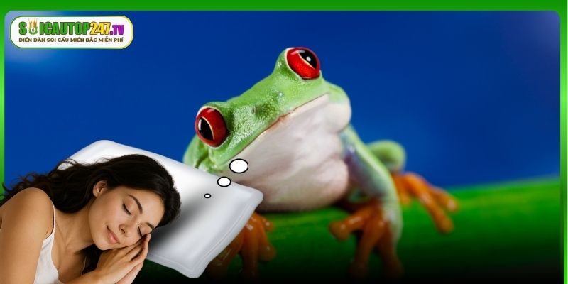 Các số đánh đề may mắn khi gặp ếch trong mơ