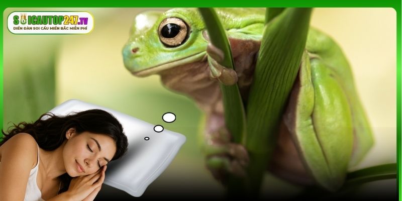 Các trường hợp ngủ mơ thấy ếch thường gặp khác