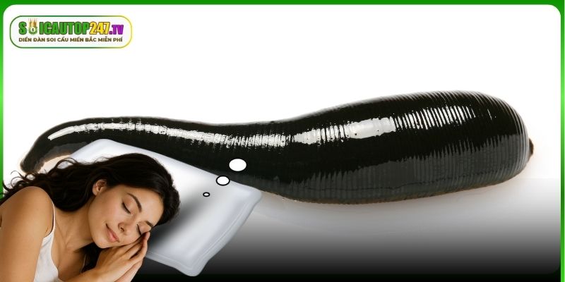 Chiêm bao đỉa bám vào tay thể hiện thay đổi tích cực