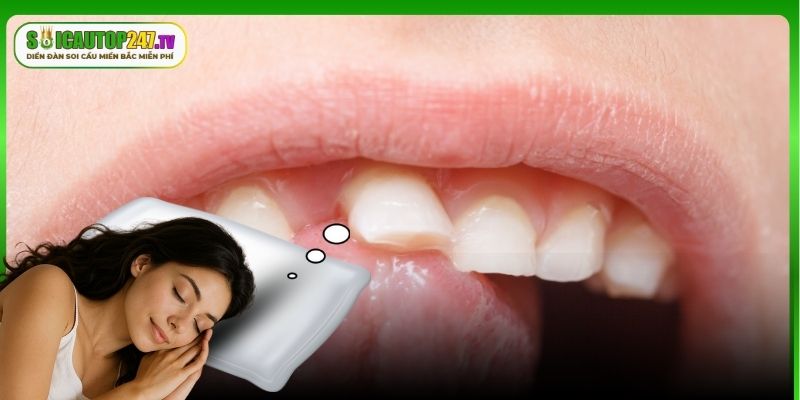 Gợi ý một vài con số may mắn gắn liền với chiêm bao