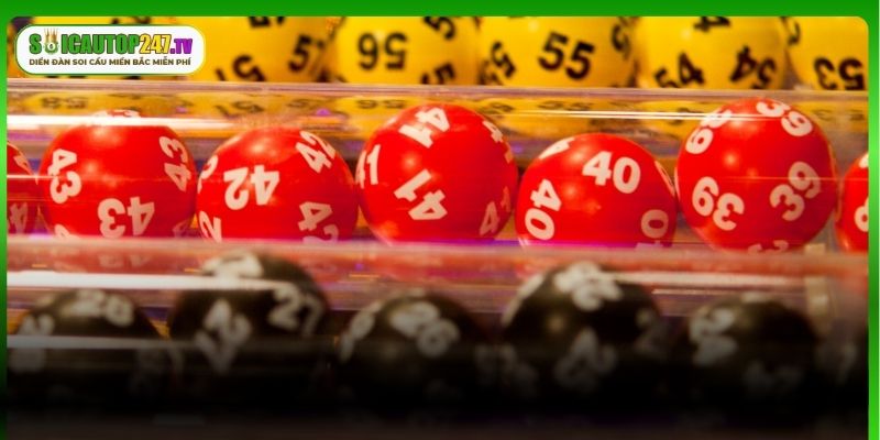 Lý do hội viên cần nằm lòng cách đánh lô 3 càng