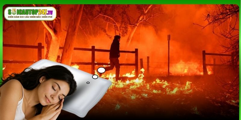 Kinh nghiệm thắng nhanh với giấc mơ dập lửa