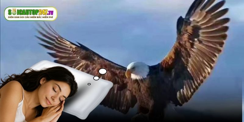 Nghiên cứu về việc mơ gặp đại bàng bị nhốt trong lồng