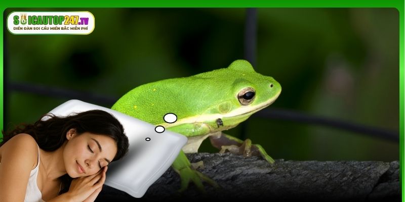 Ngủ mơ thấy ếch vào nhà là xấu hay tốt?