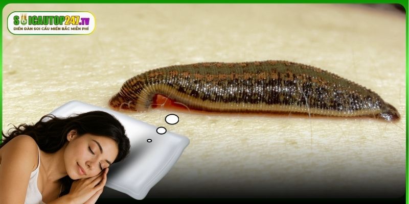 Những con số giúp đổi đời nhanh khi chơi lô đề